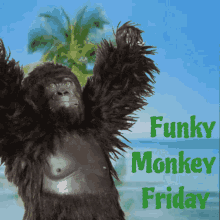 Happy Friday GIF - Happy Friday Funky GIFs