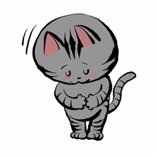 cute cat kitty gray polite
