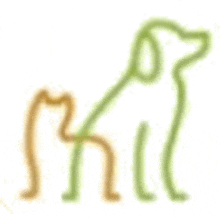 a dog and a cat are standing next to each other .