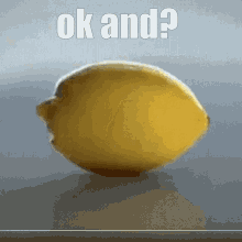 Lemon Okay And Lemon GIF - Lemon Okay And Lemon Okay And GIFs