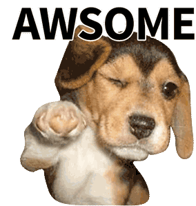 your awesome dog