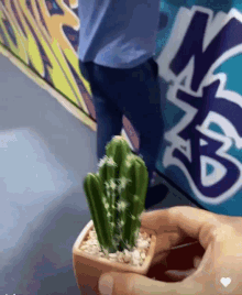 Cactus Funny GIF - Cactus Funny Prank GIFs