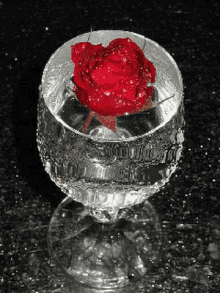 rose shimmering glass black white