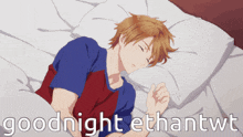 a man is sleeping on a bed with the words goodnight ethantwt written below him