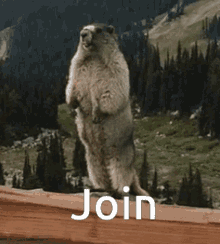 Join GIF - Join GIFs