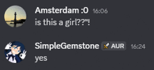 a screenshot of a conversation with amsterdam and simplegemstone