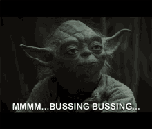 Yoda Bussing GIF - Yoda Bussing Bussing Bussing GIFs