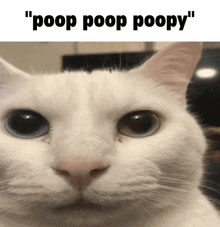 Poop Poop Poop Poopy GIF
