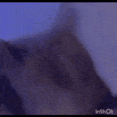 a close up of a cat 's face against a blue background