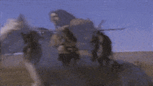 a man is riding a white horse in a field with other horses .
