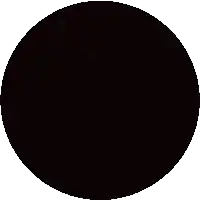 a circle with a blurred image of a person 's head