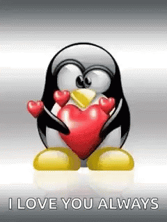 penguin i love you