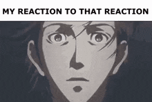 Steins Gate My Reaction To That Information GIF