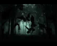 Cuervos Quierosubirconetiqueta GIF - Cuervos Quierosubirconetiqueta Ravens GIFs