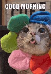 a cat wearing a hat with a flower on it and the words good morning above it