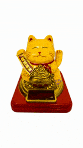 a yellow cat with chinese writing on it 's chest