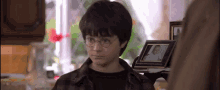 Harry Potter Daniell Radcliffe GIF - Harry Potter Daniell Radcliffe Cute GIFs