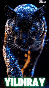 a black panther with blue eyes and the name yıldıray