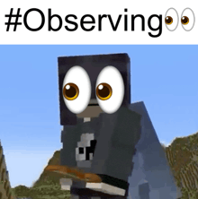 a picture of a minecraft character with big eyes and the words " observing " below it