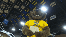 Unc Bears Klawz GIF - Unc Bears Klawz Money GIFs