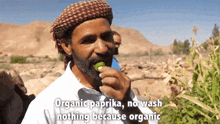 Organic Paprika GIF - Organic Paprika GIFs