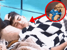 a man is sleeping with a puppy in a blue shirt