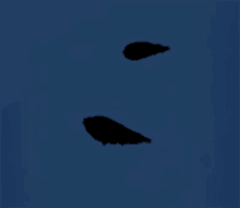 동숲물고기밤 GIF - 동숲물고기밤 GIFs
