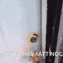 Daniel Berg GIF - Daniel Berg GIFs