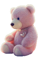 a pink teddy bear with a heart necklace that says ac on it