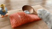 A Cooking Cat GIF - A Cooking Cat GIFs