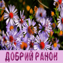 україна Good Morning GIF - україна Good Morning Flowers GIFs