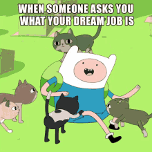 Adventure Time Cats GIF - Adventure Time Cats Finn GIFs