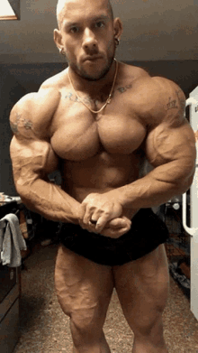 Shawn Bodybuilder GIF - Shawn Bodybuilder Posing GIFs