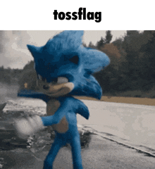 a picture of a sonic the hedgehog with the words tossflag above him