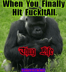 a gorilla is sitting in the grass with its hands folded in front of it .