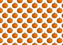 Fall Pumpkin GIF - Fall Pumpkin GIFs