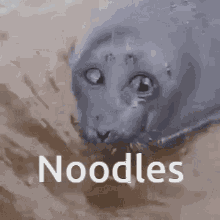 Noodles Cupnoodles GIF - Noodles Cupnoodles Discord GIFs
