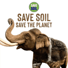 save soil save the planet conscious planet climate crisis elephant