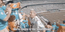 Miami Dolphins Were Going To The Super Bowl GIF - Miami Dolphins Were Going To The Super Bowl Super Bowl GIFs