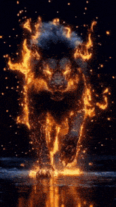a lion made of fire is walking through the water