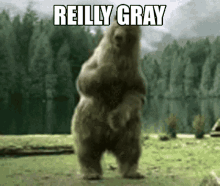 bear dance lets party dance moves reilly