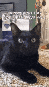 a black cat is laying on the floor and looking at the camera with the words `` happy birthday colleen love you '' written on it .