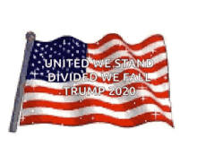 Trump American Flag GIF - Trump American Flag Usa GIFs