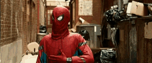 Real Spidey6 GIF