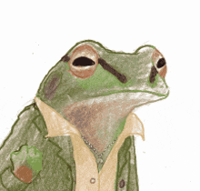 a frog wearing a jacket and collared shirt with a necklace