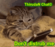 a cat laying on a blanket looking at a cell phone with the words " do n't disturb me " written above it