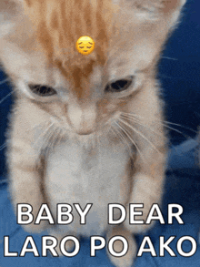 a cat with a sad face on its head with the words baby dear laro po ako below it