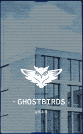 Team Ghostbirds GIF - Team Ghostbirds Ruv GIFs