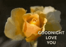 Goodnight Sparkle GIF - Goodnight Sparkle Night GIFs