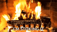 a fire is burning in a fireplace with the words `` i 'm stoking it '' .